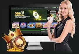 Catatan privasi akun untuk pengguna Indonesia